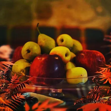 Helydorea Zen Bed& Breakfast Гостевой дом Синикия-Меси-Трикала