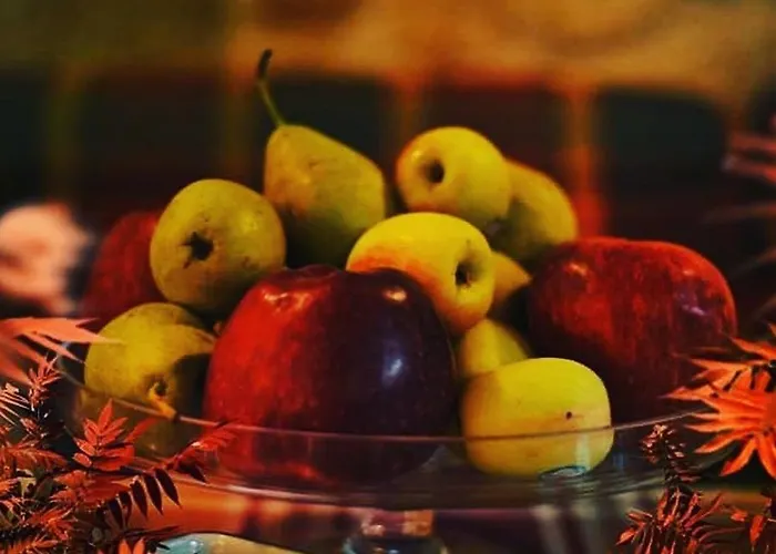 Helydorea Zen Bed& Breakfast Penzion Synikia Mesi Trikalon