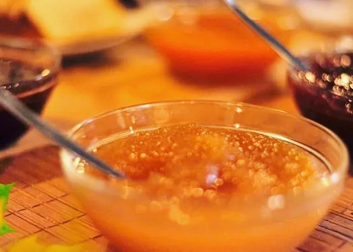 Helydorea Zen Bed& Breakfast